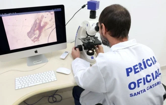 Alesc Avalia Projetos Importantes para Santa Catarina