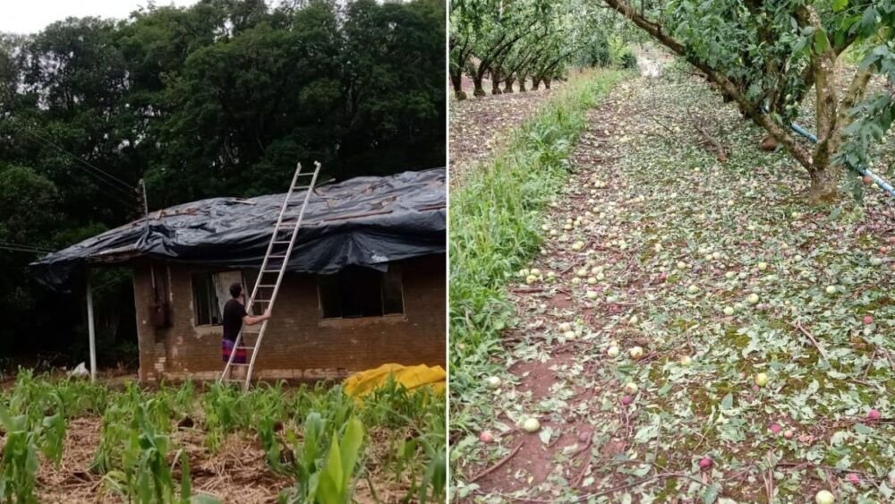 Granizo causa estragos em pomares de SC e cidade decreta emergência