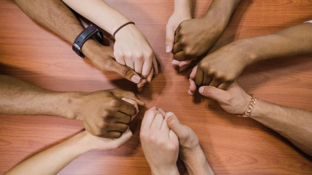 Análise do Fim das Cotas Raciais em SC e Seus Impactos