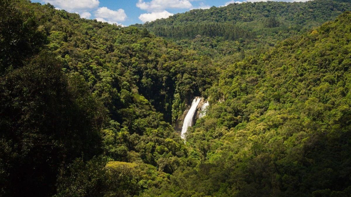 Cachoeiras em Doutor Pedrinho: Refúgio natural em SC