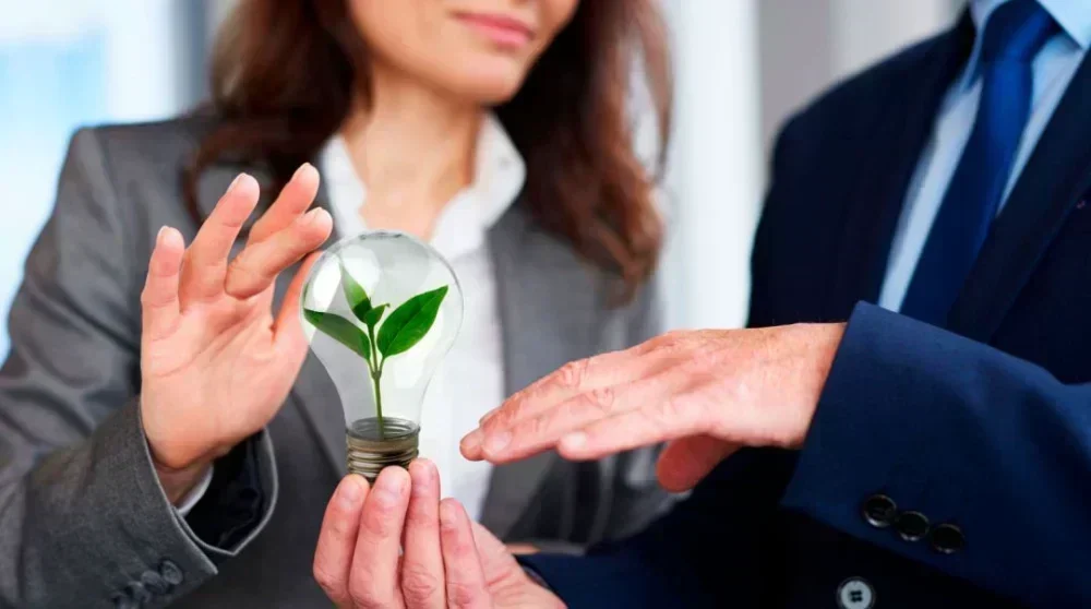 Crescimento dos Negócios Verdes no Brasil: 20% em 5 Anos