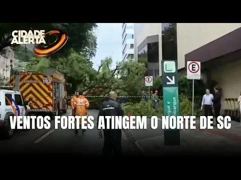 Temporal Surpreende Santa Catarina e Causa Estragos