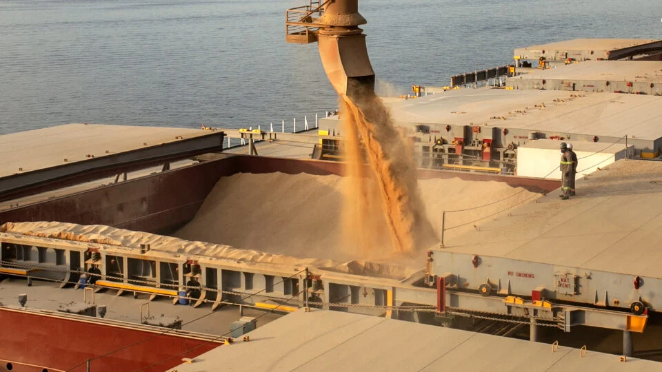 Agro brasileiro atinge recorde de exportações apesar de tarifa dos EUA e gripe aviária