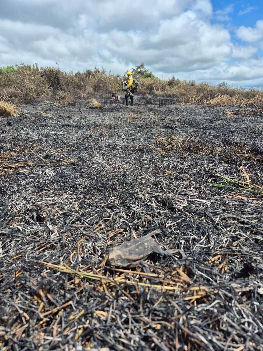 Bombeiros enfrentam 86 focos de calor em Corumbá e Aquidauana durante chuvas