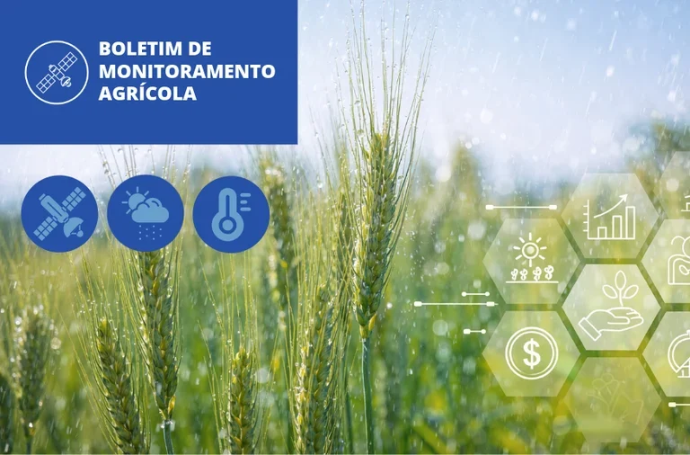 Conab revela que chuvas em janeiro impulsionam lavouras de primeira safra