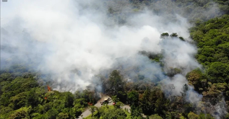 Corpo de Bombeiros controla incêndio florestal na Interpraias em Balneário Camboriú