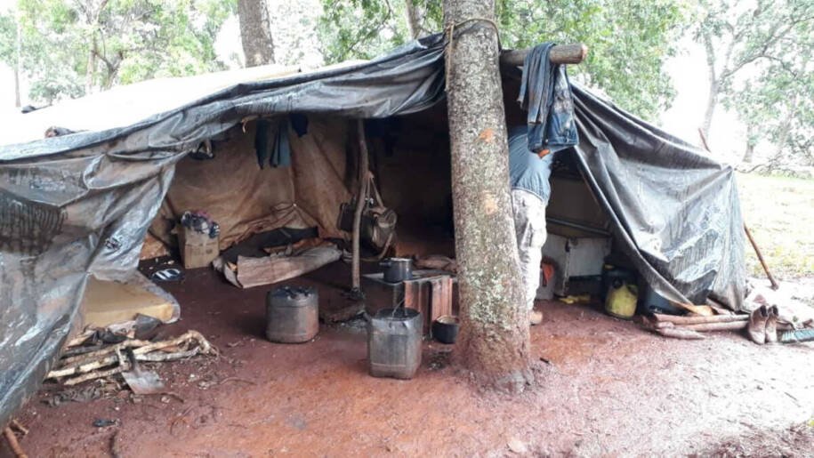 Governo de MS lança plano para erradicar trabalho escravo e gera expectativa