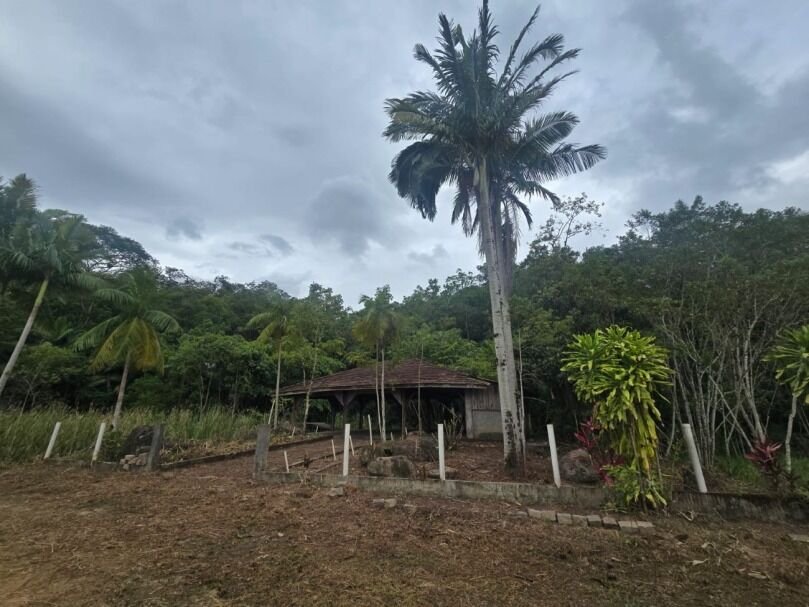 Guaramirim avança na implantação do Horto Florestal com investimento de R$ 150 mil