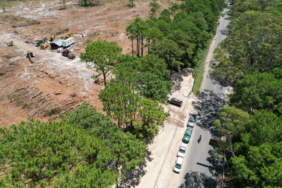 IMA e PMA realizam operação e descobrem devastação no Parque do Rio Vermelho
