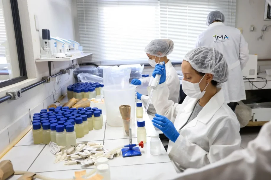 IMA revela balneabilidade de praias em SC e alerta sobre chuvas intensas