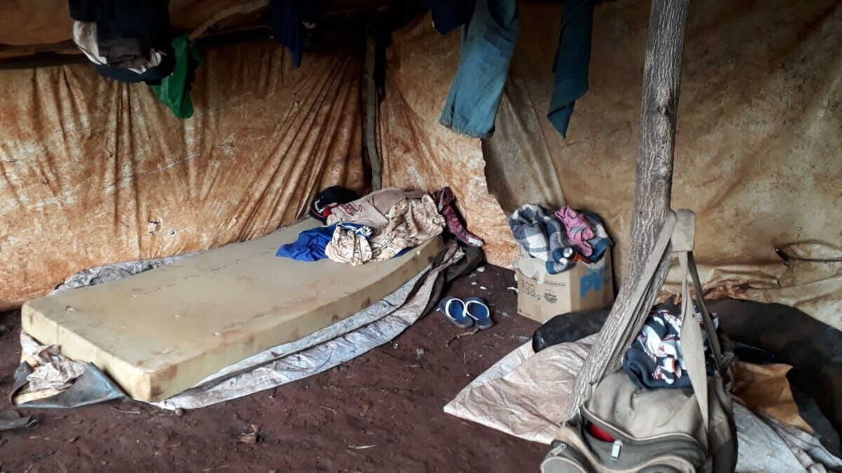 Mato Grosso do Sul resgata 95 trabalhadores e lança plano contra trabalho escravo