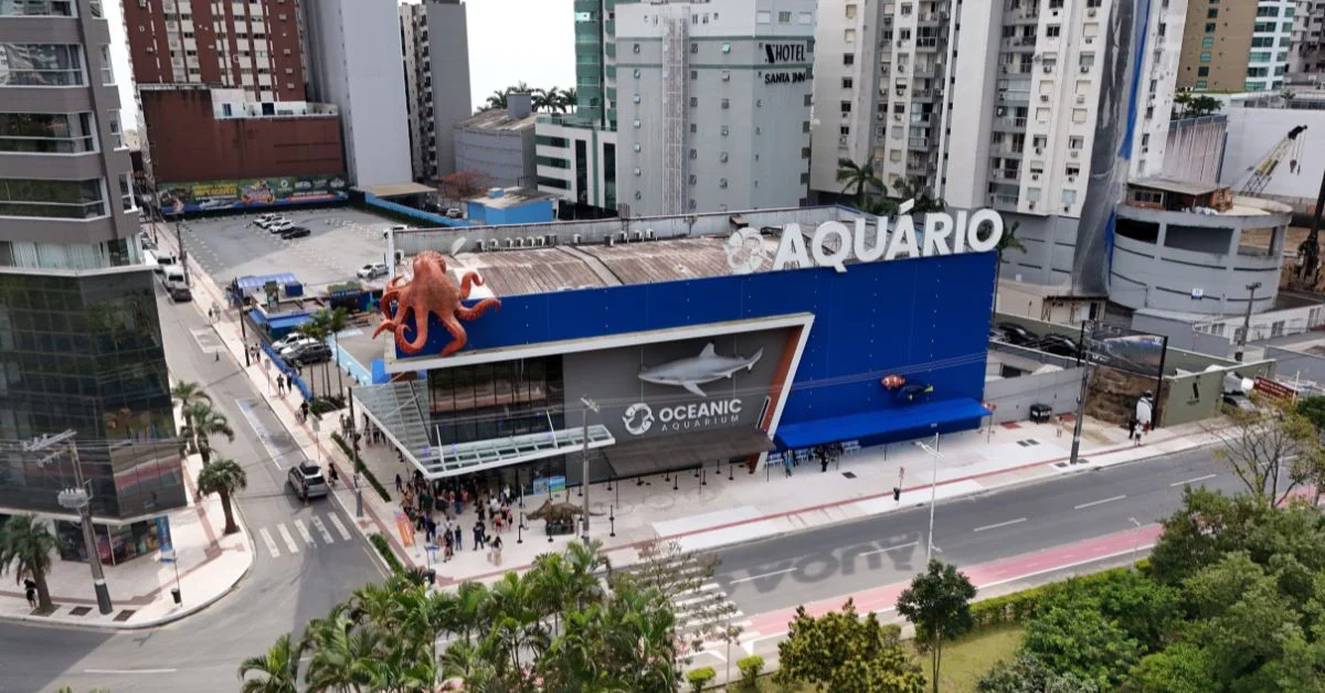 Oceanic Aquarium prorroga meia-entrada até sexta (30) após sucesso na promoção