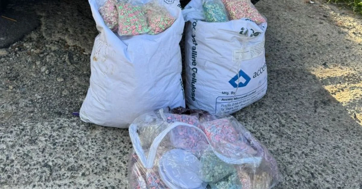 Polícia Militar apreende 120 mil comprimidos de ecstasy em Camboriú e prende suspeito