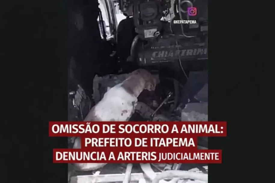 Prefeito Alexandre Xepa denuncia Arteris por omissão em atropelamento de cão