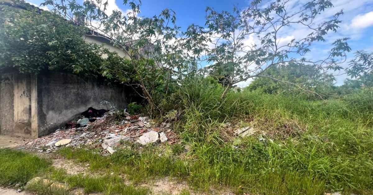 Prefeitura de Camboriú impõe prazo de 10 dias para limpeza de terrenos e proíbe queimadas