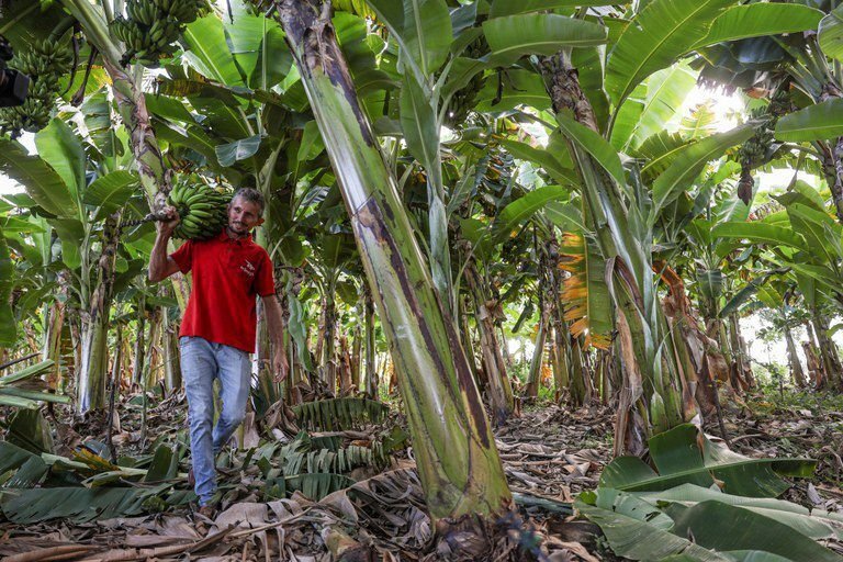 Procuradoria-Geral da Fazenda Nacional celebra regularização de dívidas rurais até 2026