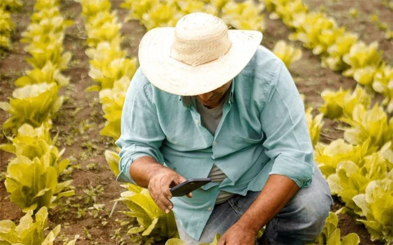 Programa Nacional de Crédito Fundiário dobra atendimentos e gera polêmica entre governos