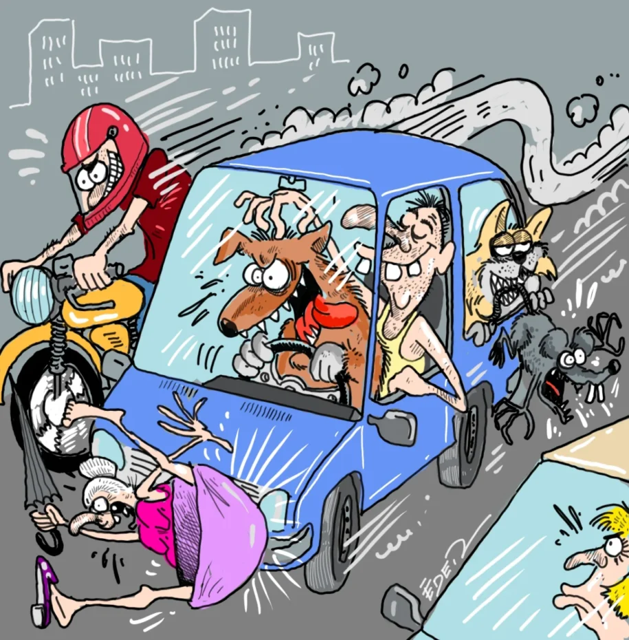 Simone Tebet e Eduardo Rocha enfrentam polêmicas na Câmara Municipal de Campo Grande