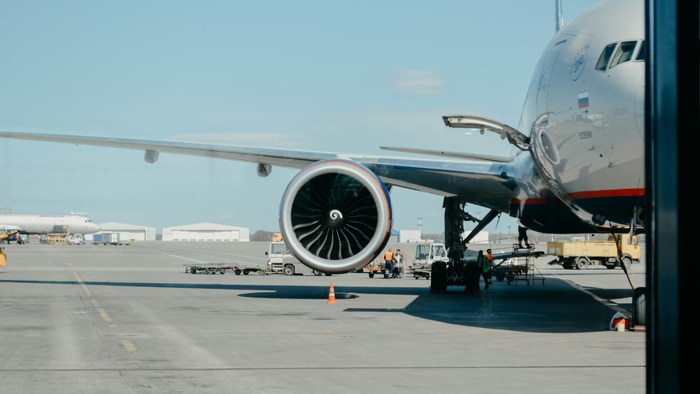 Administração Federal de Aviação revela 19 mil colisões entre aves e aviões em 2023