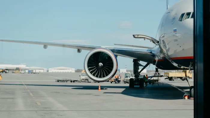 Administração Federal de Aviação revela 19 mil colisões entre aves e aviões em 2023