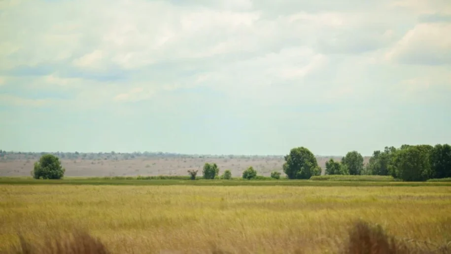 Angola cede 60 mil hectares para brasileiros e gera disputa com a China