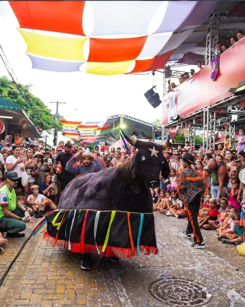 Balneário Camboriú recebe festival ‘O Boi-de-Mamão Apresenta BC 2026’ com apresentações gratuitas