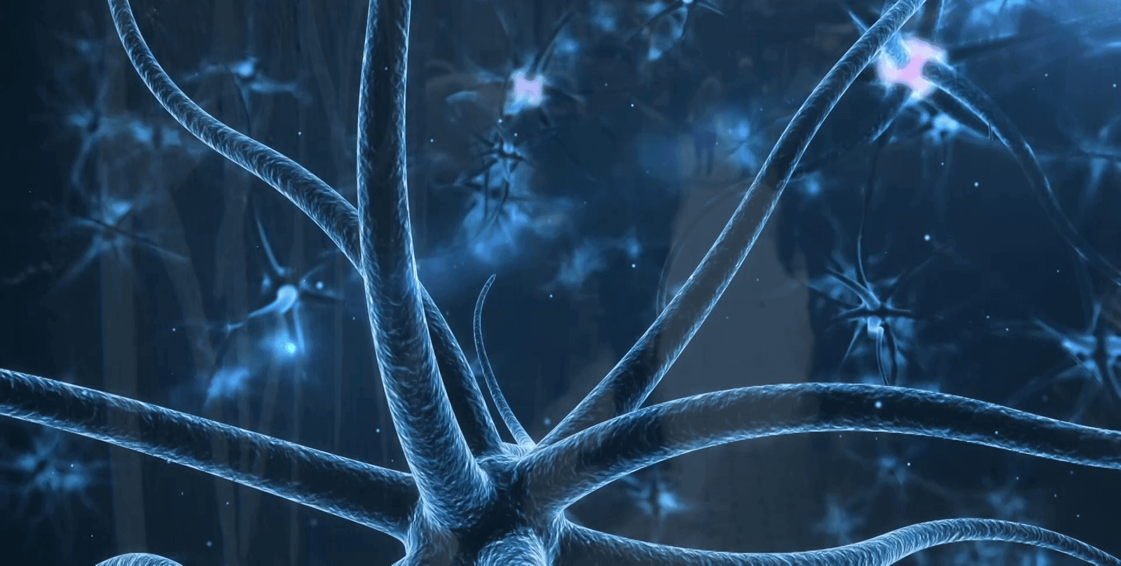 Brasil transforma esperança em realidade com polilaminina para tetraplegia