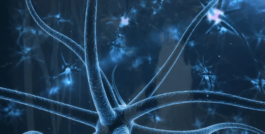 Brasil transforma esperança em realidade com polilaminina para tetraplegia