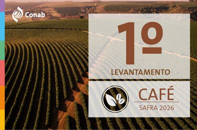Conab prevê produção recorde de café em 2026 com crescimento de 17,1%