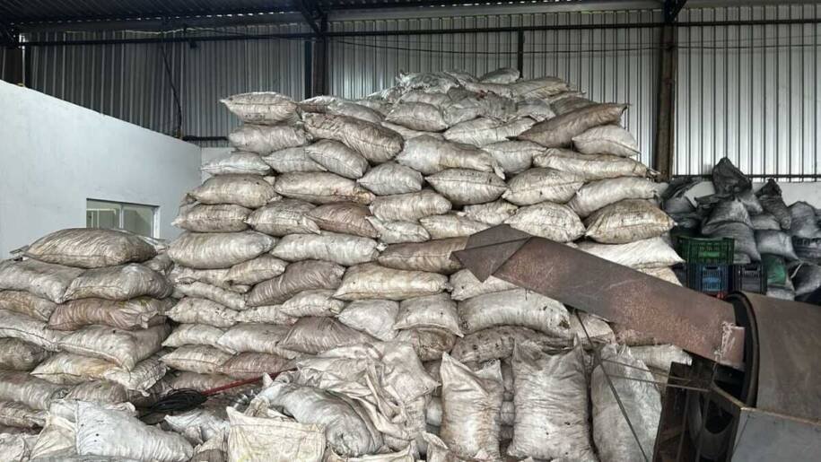 DECAT fecha carvoaria clandestina em Campo Grande e prende gerentes por crime ambiental