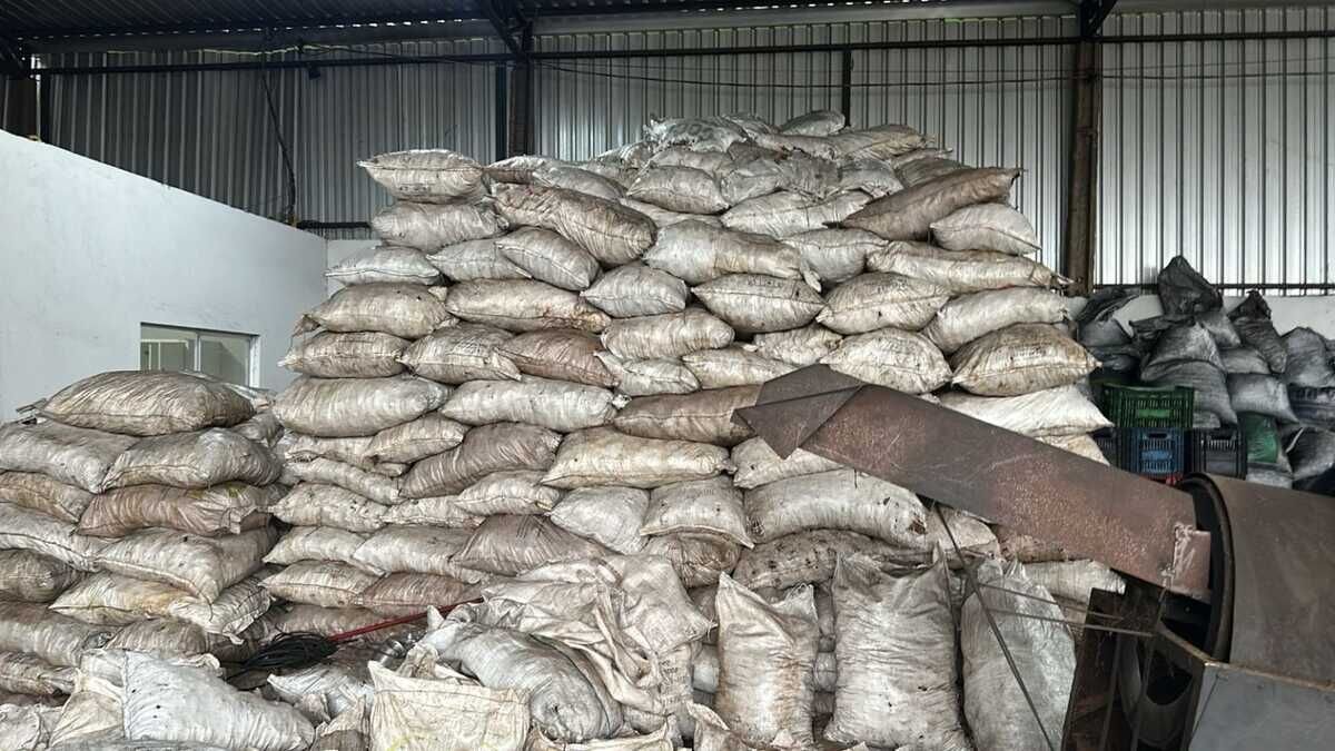 DECAT fecha carvoaria clandestina em Campo Grande e prende gerentes por crime ambiental