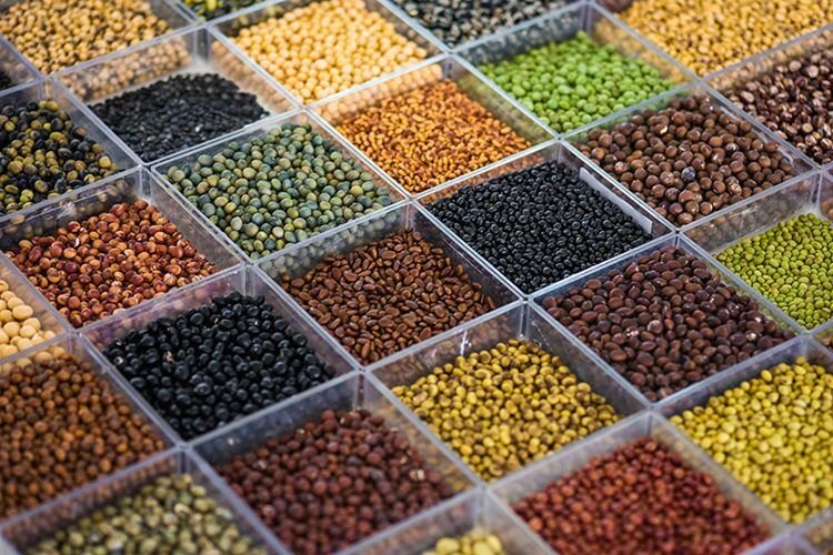 Embrapa Soja revela novas variedades de soja no Show Rural em Cascavel, PR