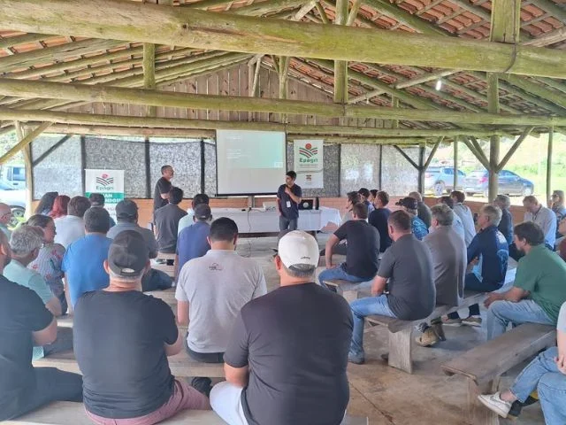 Epagri e Marcelo Luchetta elevam produção de tilápia em SC com inovação