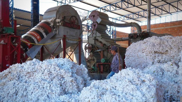 Ferrovia Transnordestina promete revolucionar produção no Cariri e reduzir custos