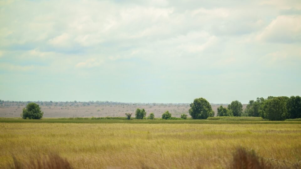 Governo de Angola cede 60 mil hectares a produtores brasileiros em acordo polêmico