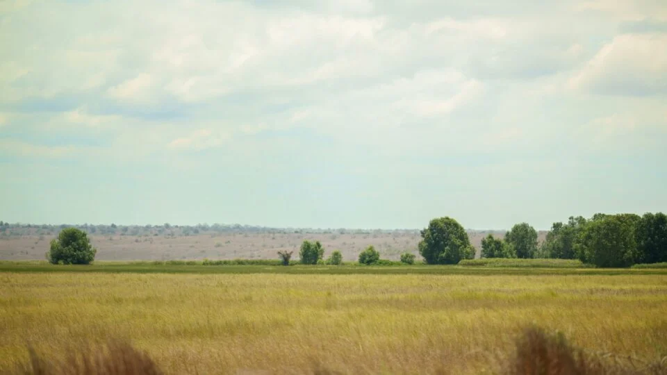 Governo de Angola cede 60 mil hectares a produtores brasileiros em acordo polêmico
