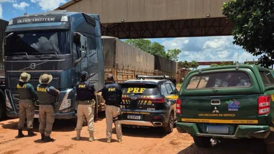 Ibama apreende carga irregular de madeira na BR-163 e investiga motorista