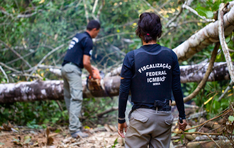 ICMBio revela que fiscalização reduz desmatamento e homicídios na Amazônia