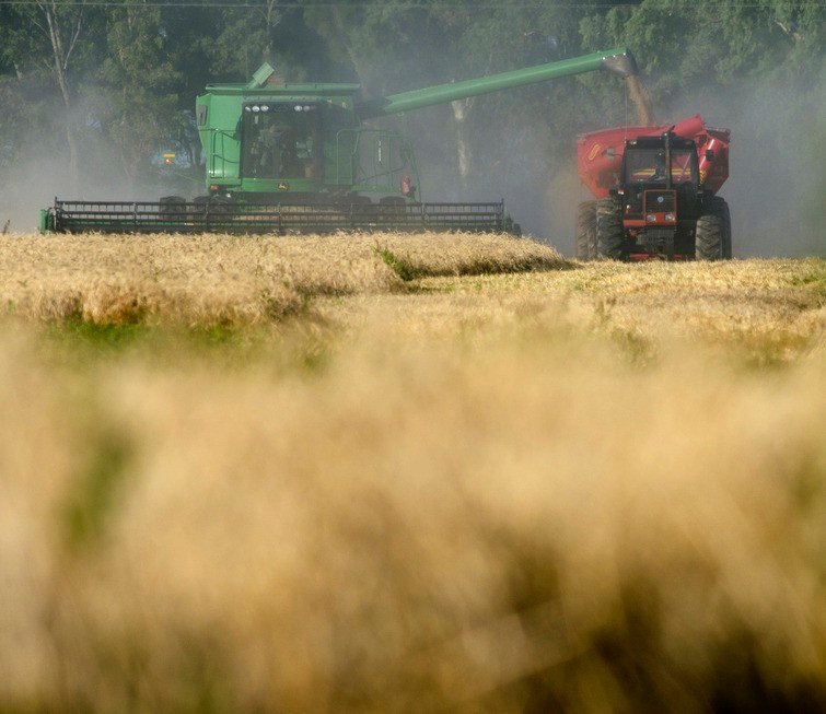 Javier Milei anuncia crescimento de 4,4% na economia argentina, mas enfrenta desafios