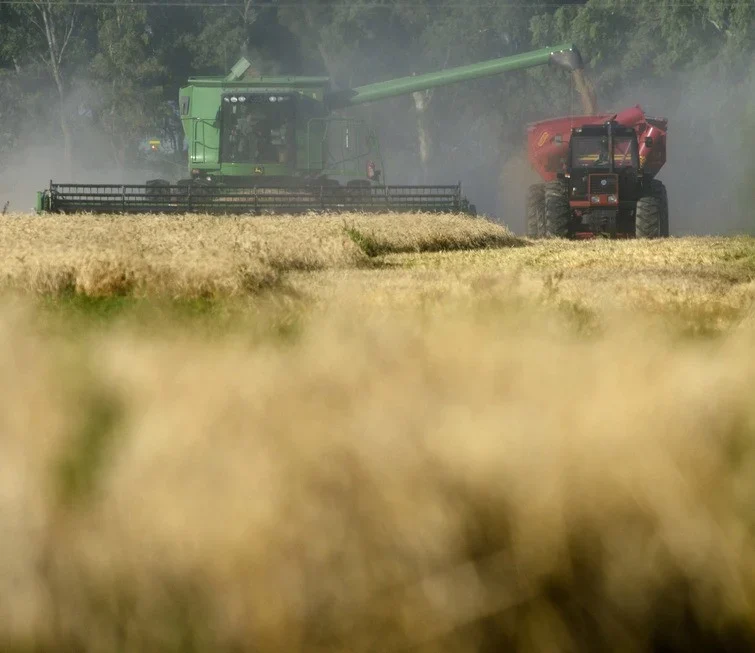 Javier Milei anuncia crescimento de 4,4% na economia argentina, mas enfrenta desafios