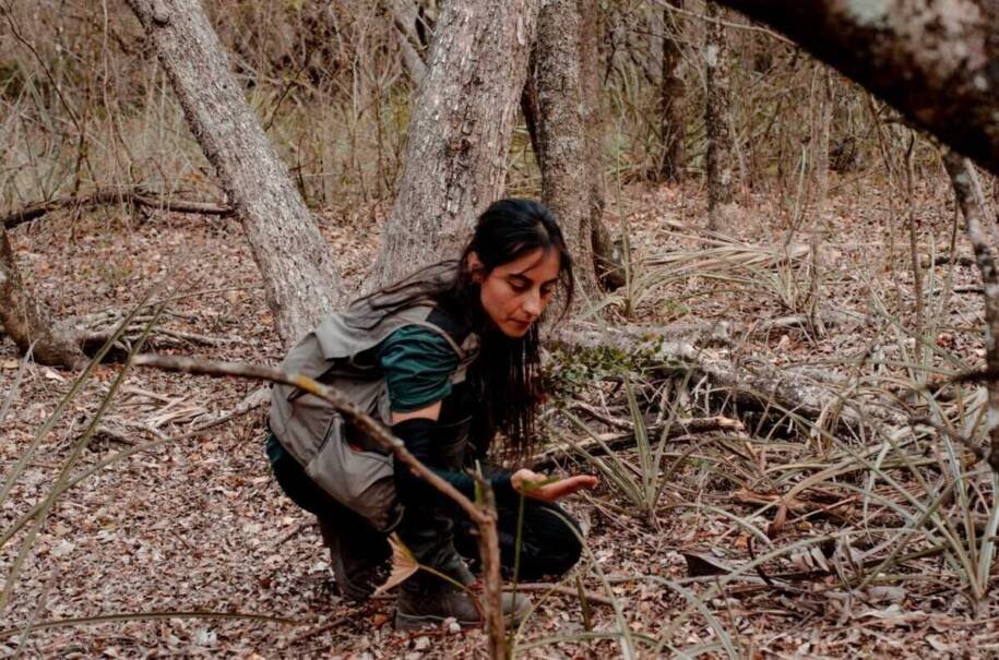 Letícia Couto da UFMS conquista Prêmio Mulheres e Ciência do CNPq em Brasília