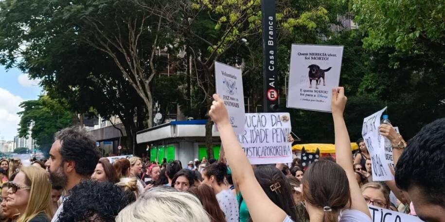 Manifestantes em São Paulo exigem punição para adolescentes que torturaram cão Orelha