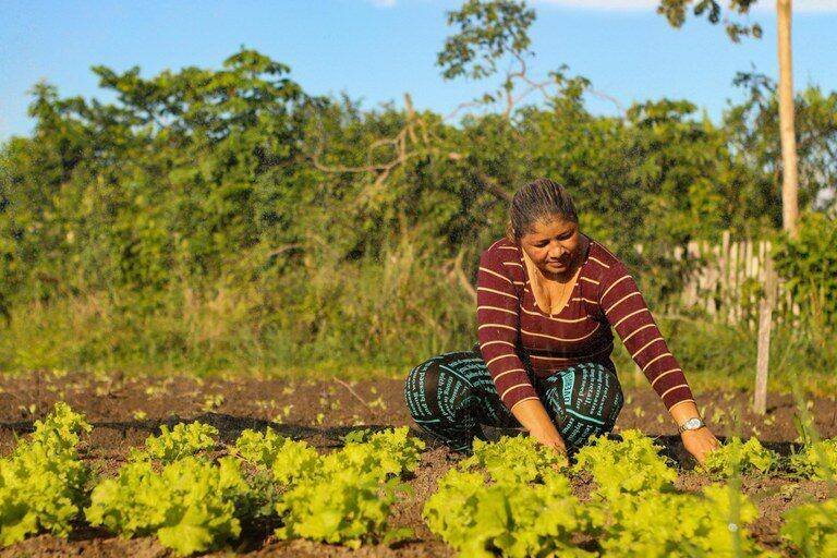 MDS destina R$ 8,8 milhões em janeiro e transforma vidas de agricultores