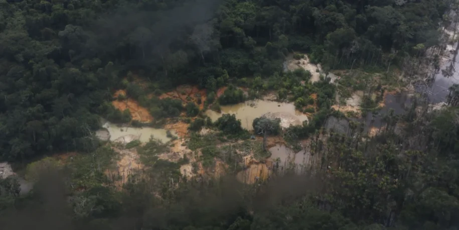 Ministro Flávio Dino dá 24 meses para Congresso autorizar indígenas Cinta Larga na mineração