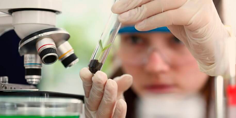 Observatório Nacional lança edital e busca jovens cientistas no Rio de Janeiro