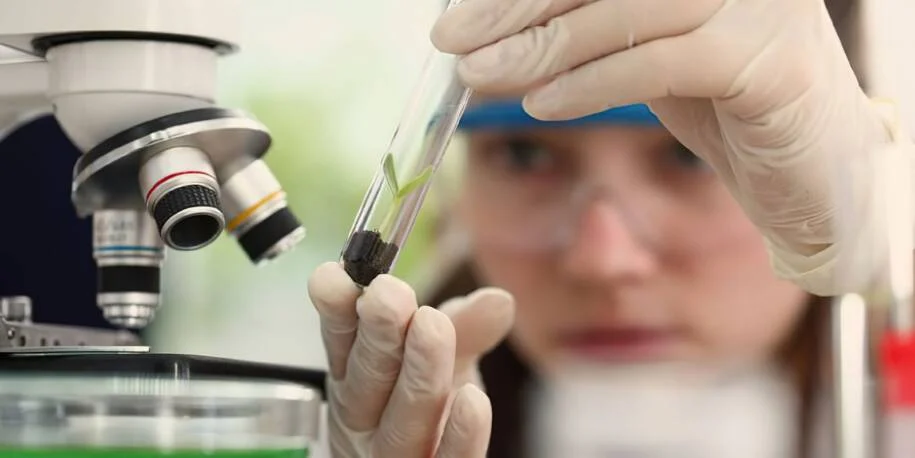 Observatório Nacional lança edital e busca jovens cientistas no Rio de Janeiro