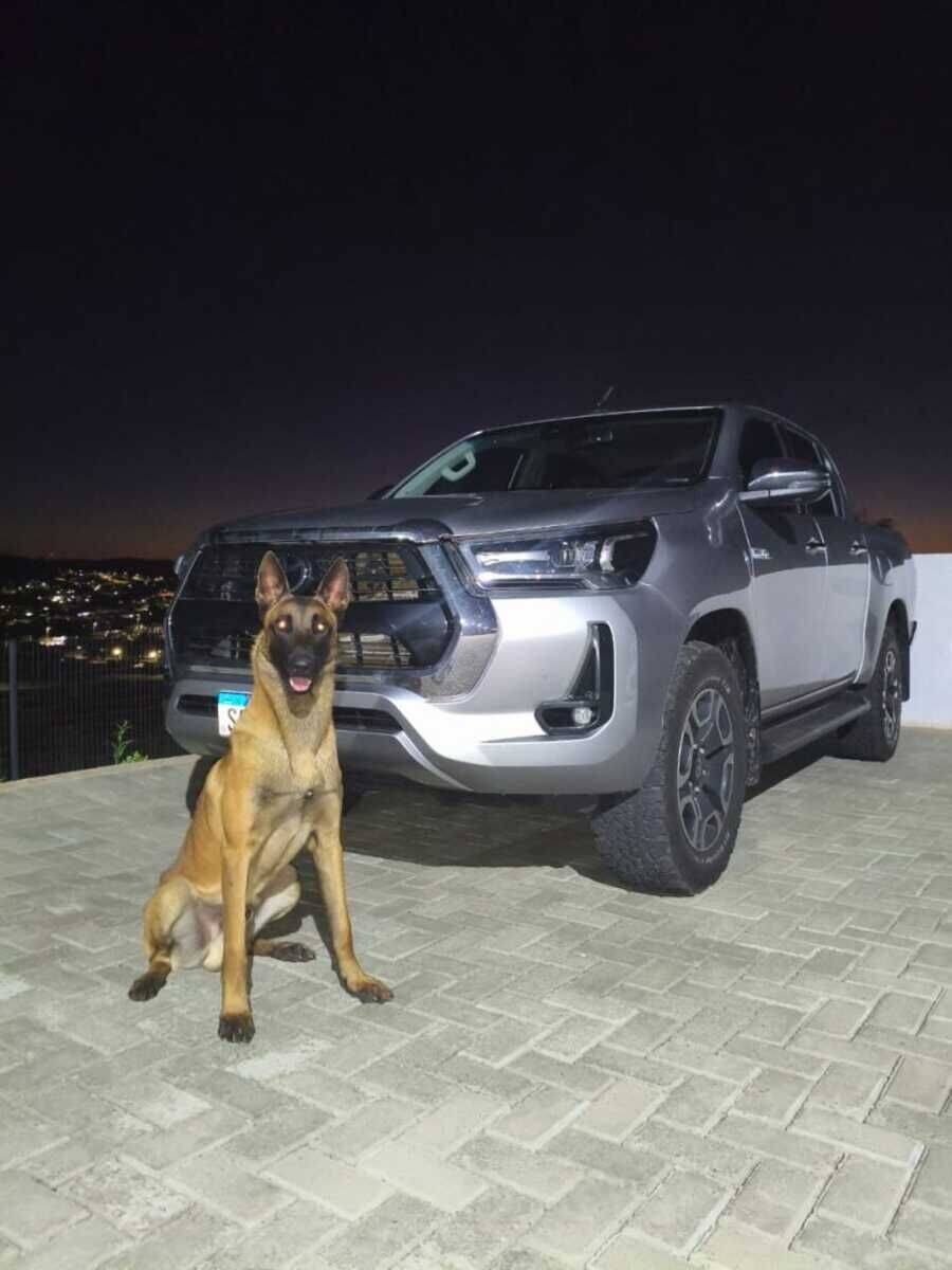 Polícia Civil recupera Hilux de R$ 300 mil após golpe em Santo Antônio do Sudoeste