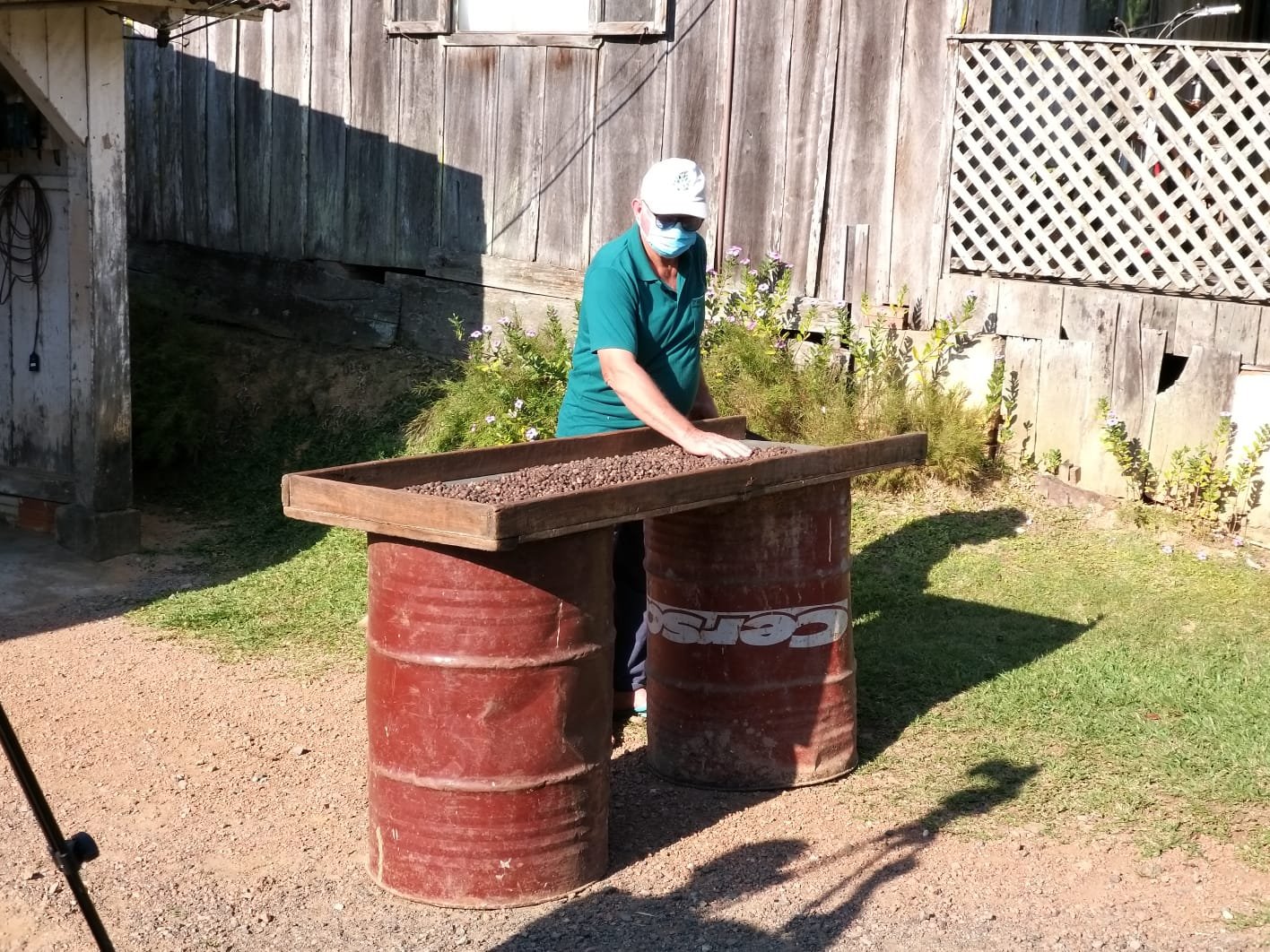 Secretaria da Agricultura de SC lança Projeto Café Sombreado com R$ 50 mil por família