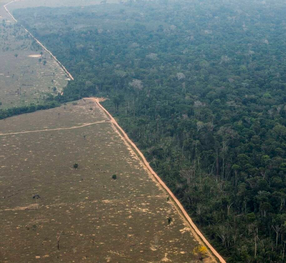 Seguradoras globais cobrem terras desmatadas no Brasil e geram polêmica
