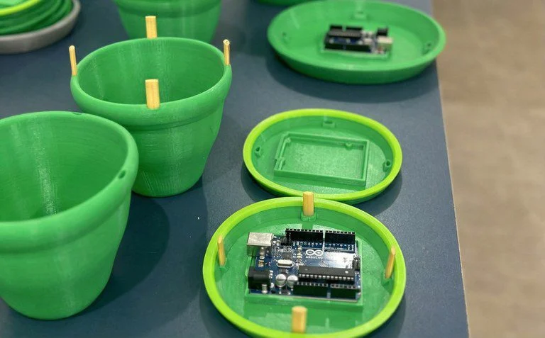 Startup WASI Biotech inova com armadilha biológica contra Aedes aegypti